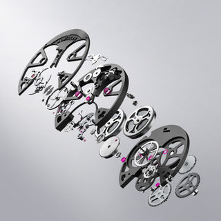 AGELOCER Manta Tourbillon Watch